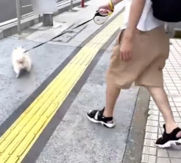 애니멀플래닛