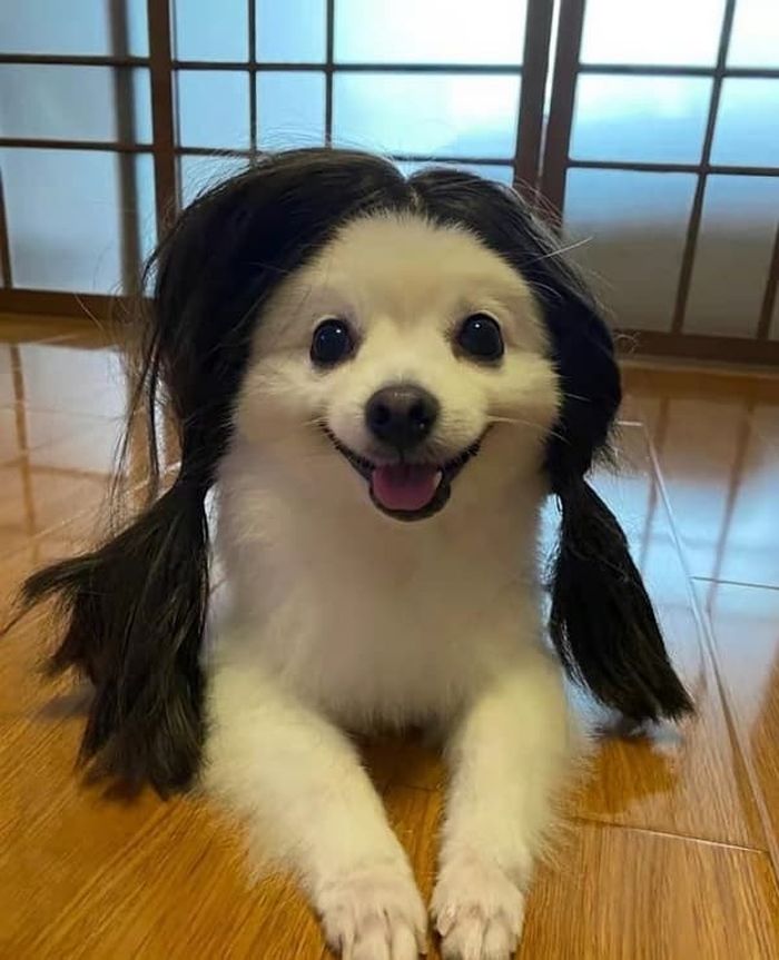 애니멀플래닛