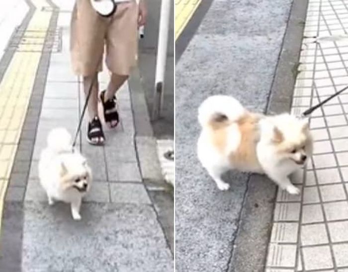 애니멀플래닛