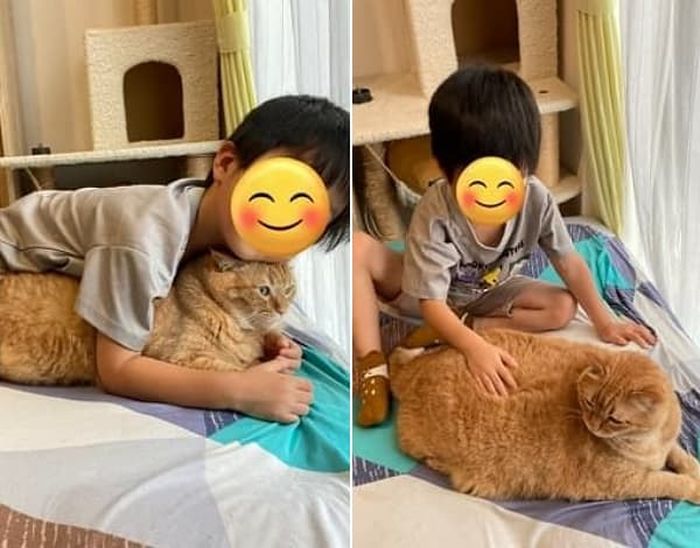 애니멀플래닛