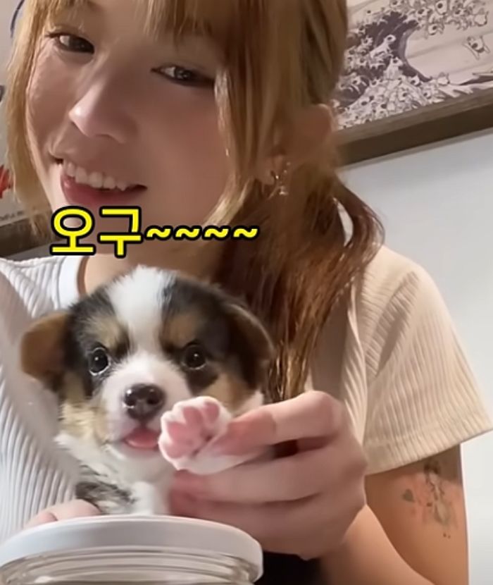 애니멀플래닛