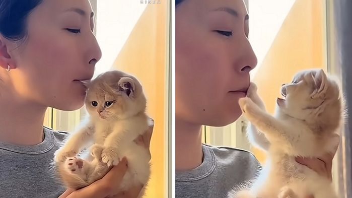 애니멀플래닛