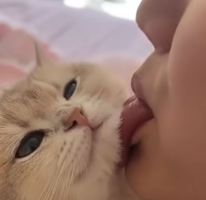 애니멀플래닛