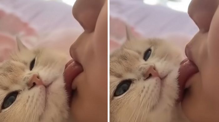 애니멀플래닛