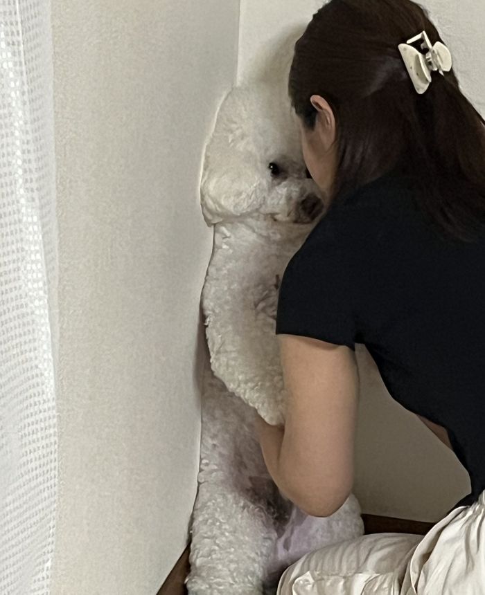 애니멀플래닛
