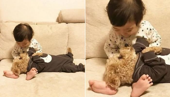애니멀플래닛