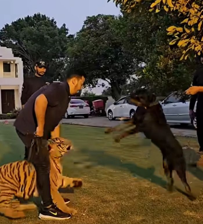애니멀플래닛