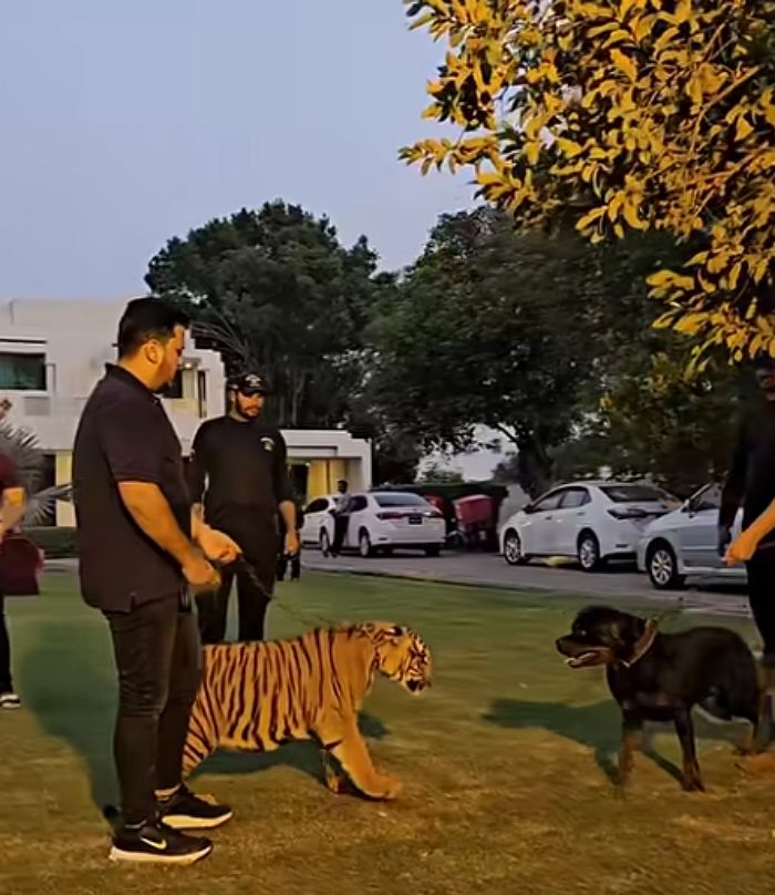 애니멀플래닛