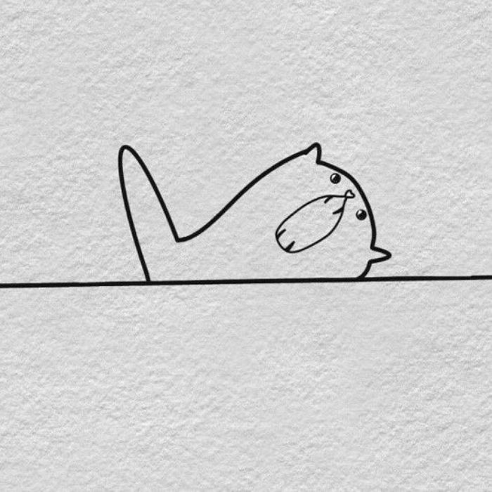 애니멀플래닛
