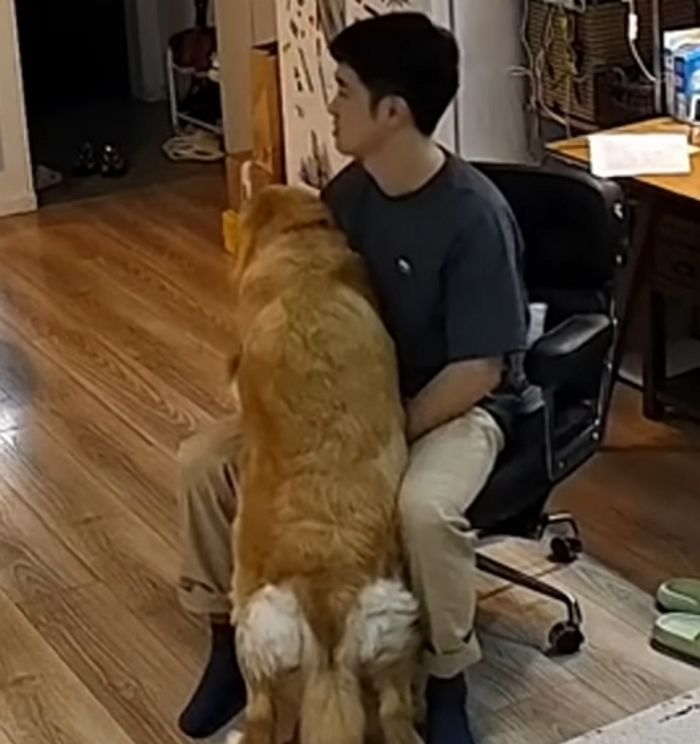 애니멀플래닛