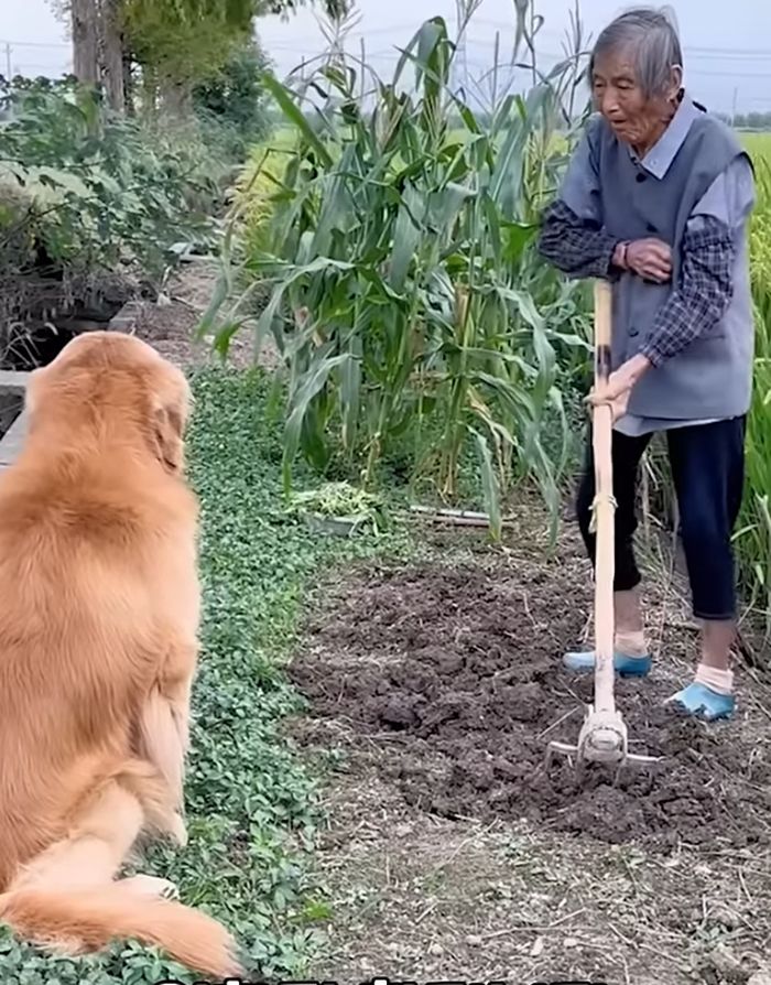 애니멀플래닛