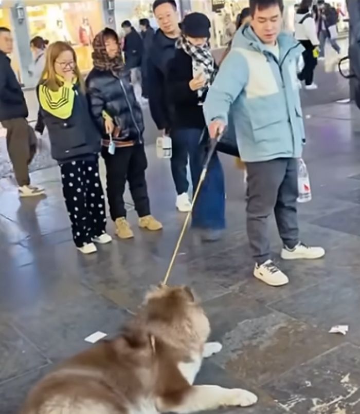애니멀플래닛