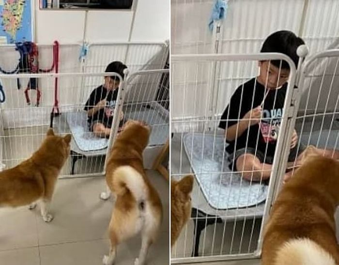 애니멀플래닛