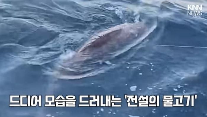 애니멀플래닛