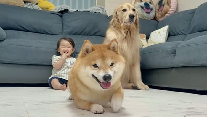 애니멀플래닛