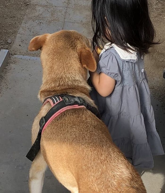 애니멀플래닛