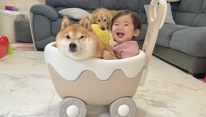 애니멀플래닛