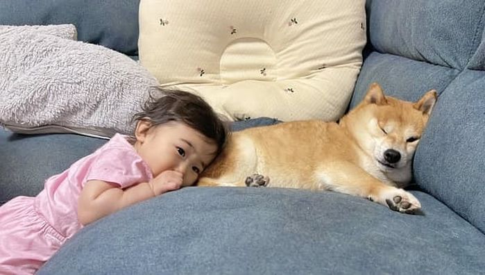 애니멀플래닛