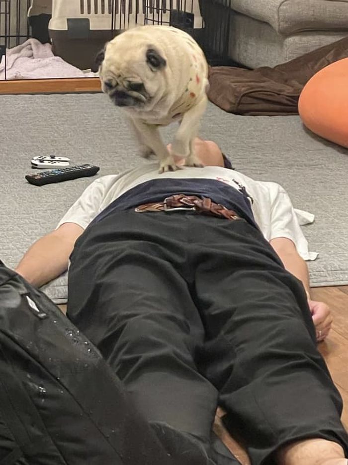 애니멀플래닛