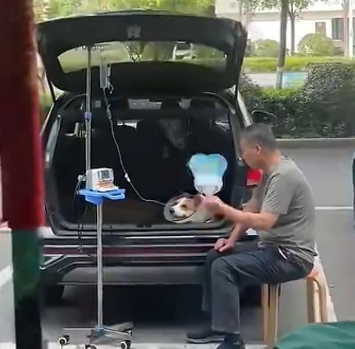 애니멀플래닛