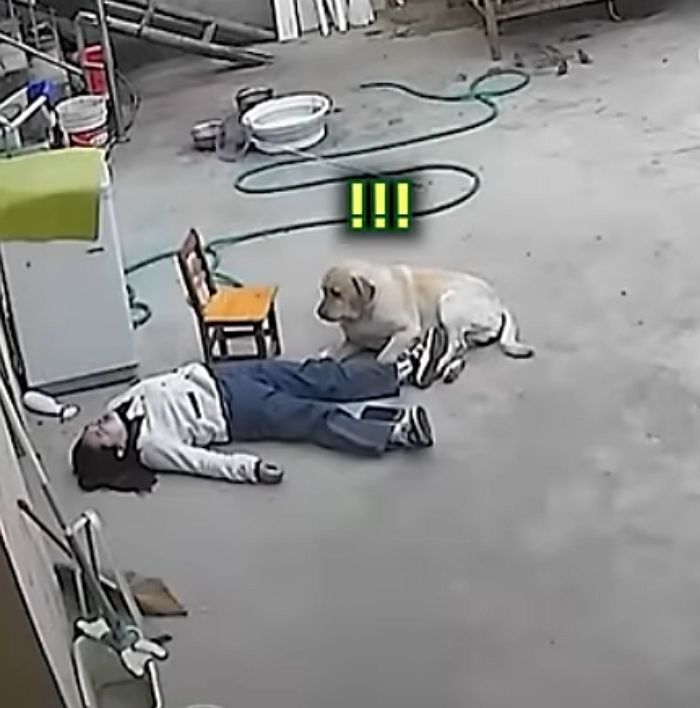 애니멀플래닛