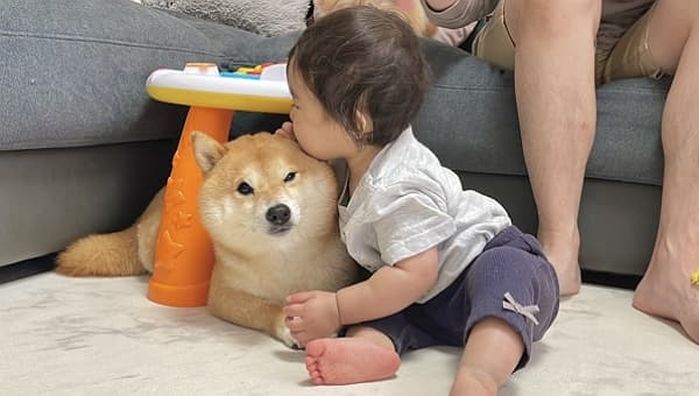 애니멀플래닛