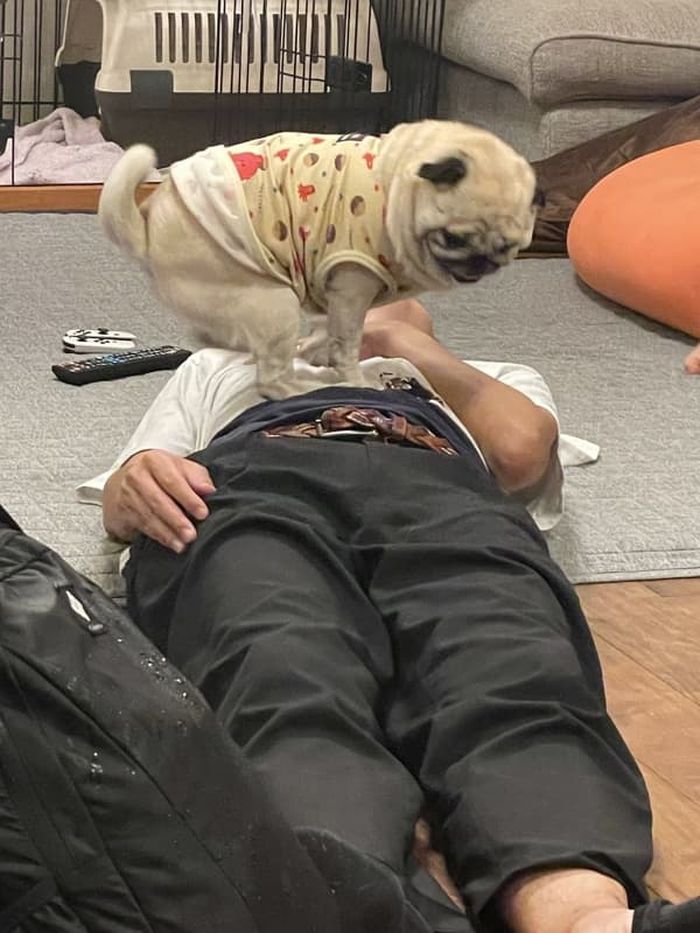 애니멀플래닛