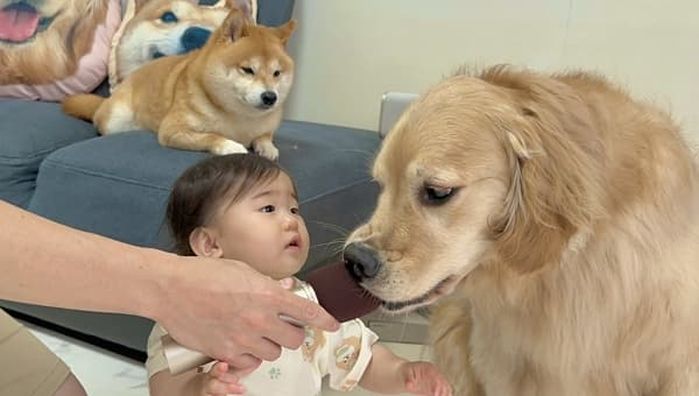 애니멀플래닛