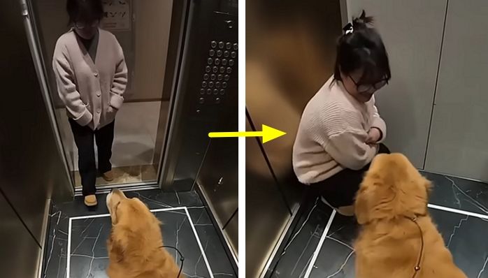 애니멀플래닛
