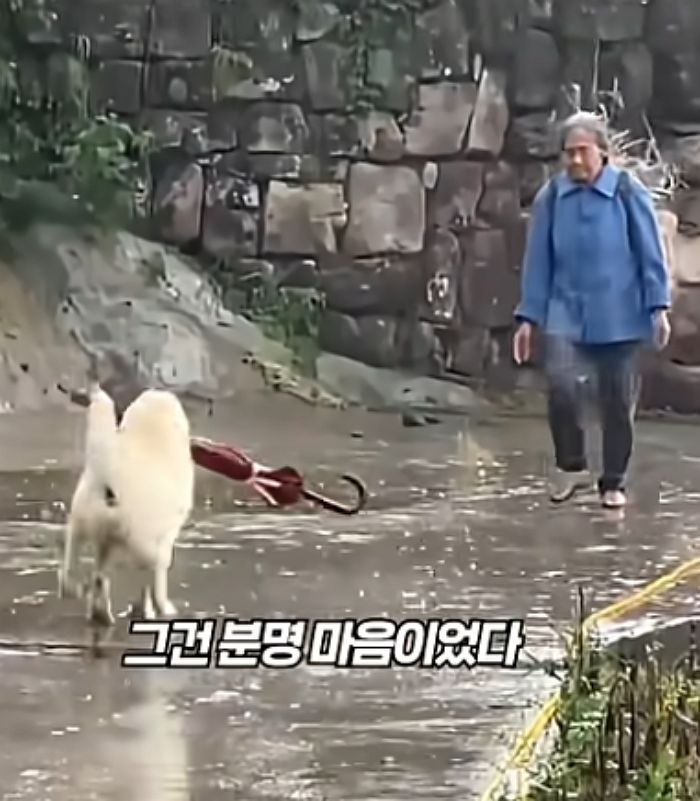 애니멀플래닛