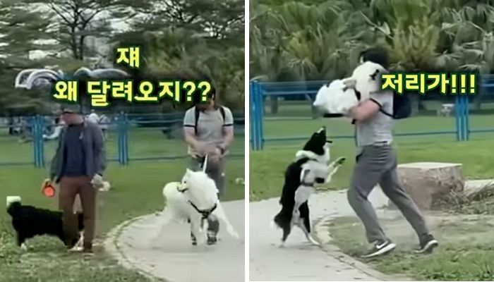 애니멀플래닛