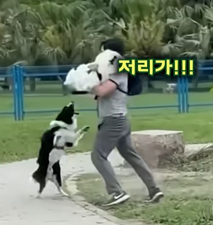 애니멀플래닛