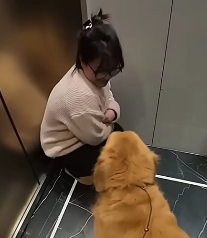 애니멀플래닛
