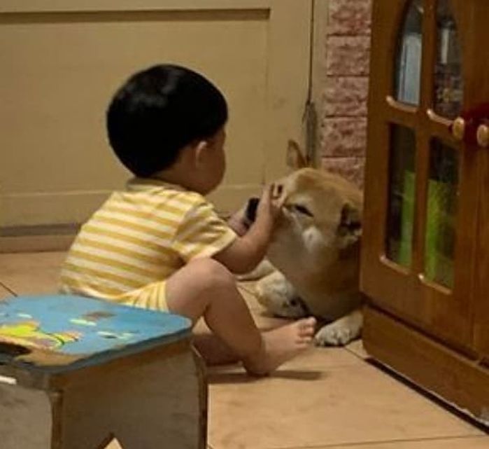 애니멀플래닛