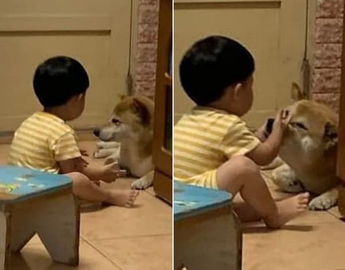 애니멀플래닛
