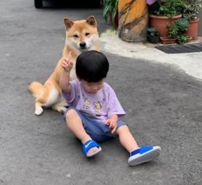 애니멀플래닛
