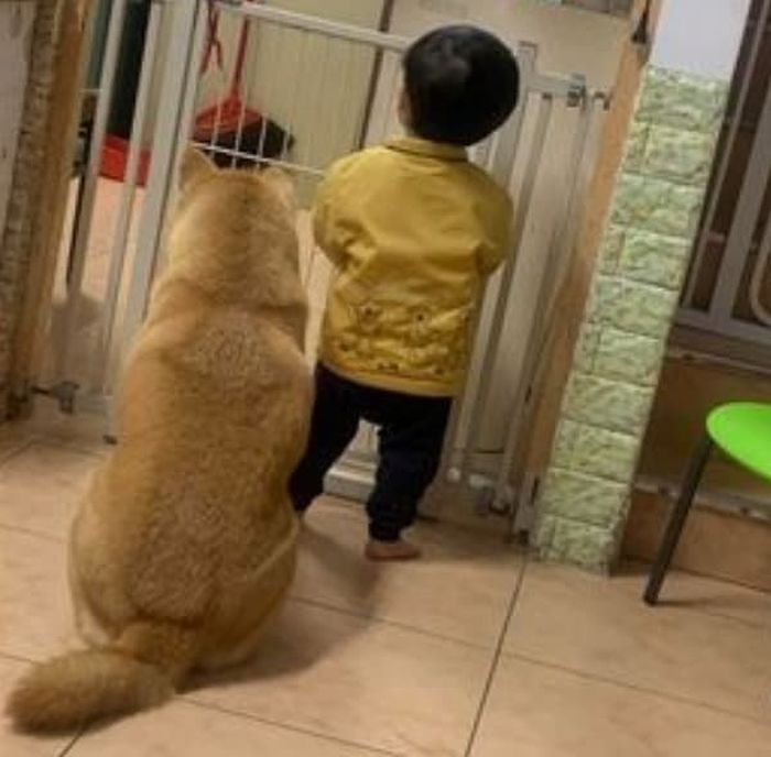 애니멀플래닛