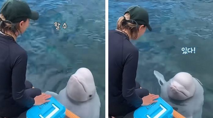 애니멀플래닛
