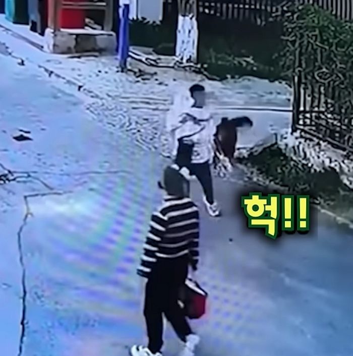 애니멀플래닛