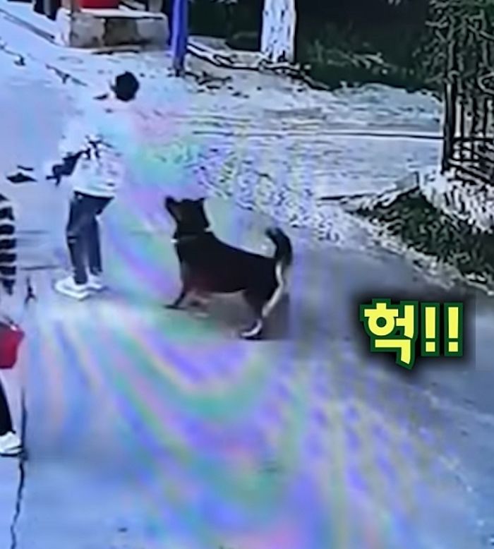 애니멀플래닛