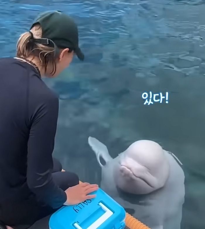 애니멀플래닛