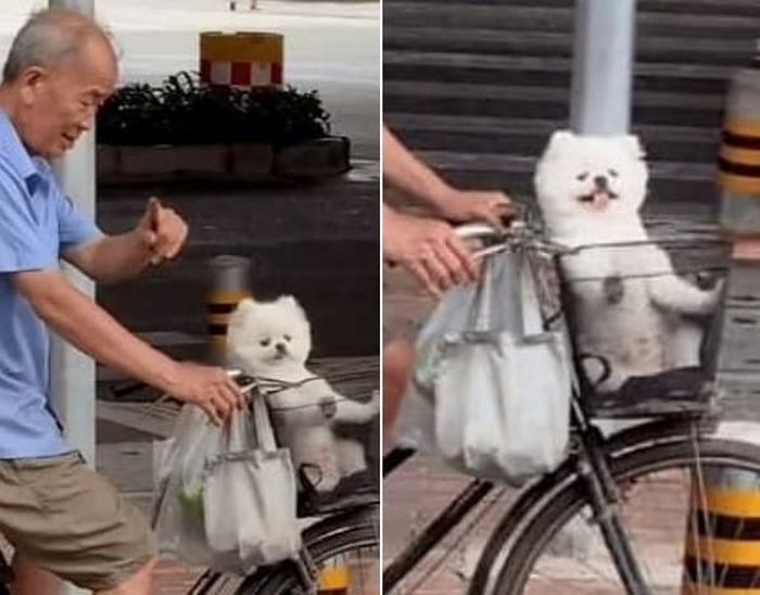 애니멀플래닛