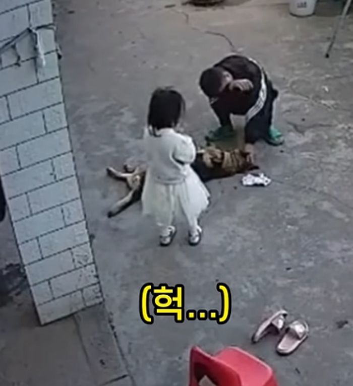 애니멀플래닛