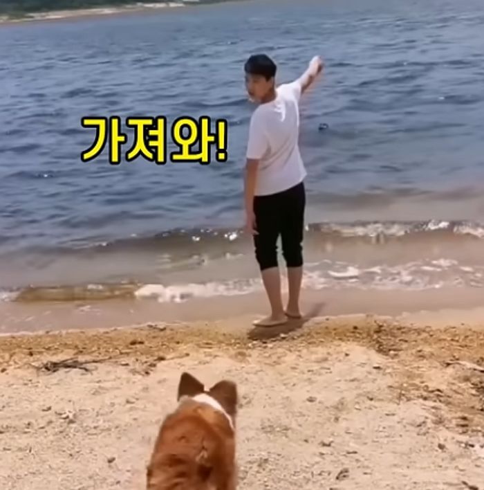 애니멀플래닛