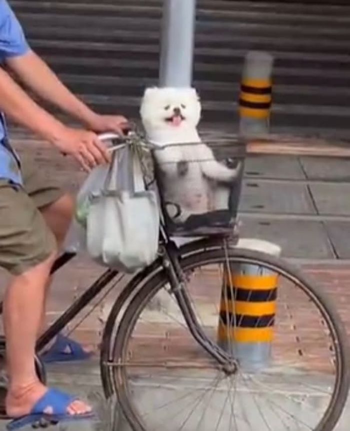 애니멀플래닛