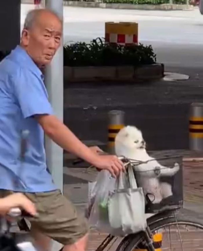 애니멀플래닛