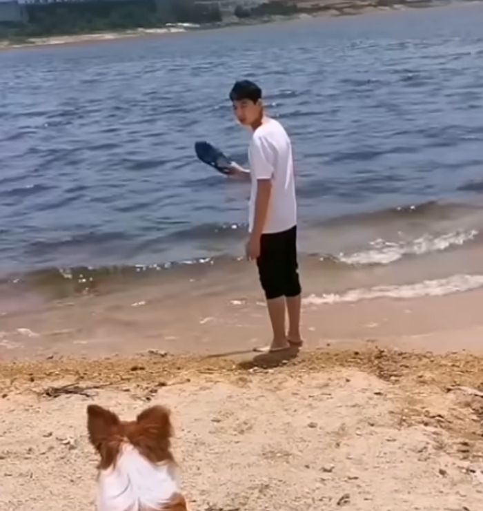 애니멀플래닛