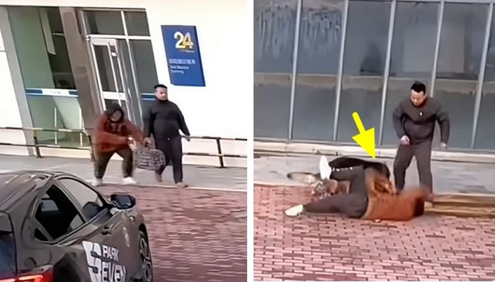 애니멀플래닛