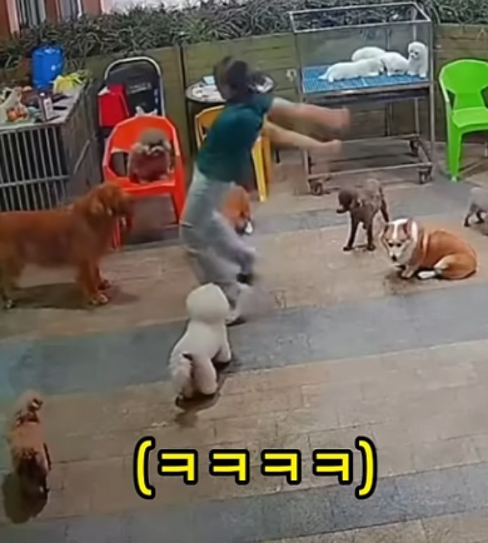애니멀플래닛
