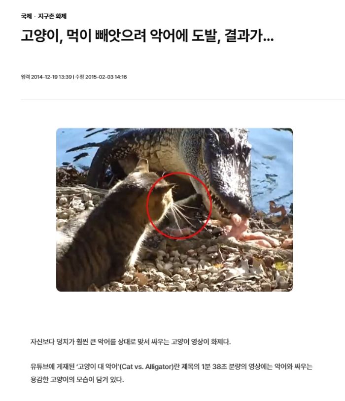애니멀플래닛